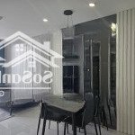Bán căn hộ c-skyview chánh nghĩa 1pn 1wc 53m2 full nội thất cao cấp