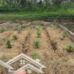 1 bước ra trục chính 427 kinh doanh đường rộng 32 m ** địa chỉ: nội thôn - vân tảo - thường tín
