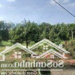 Bán 3 sào vườn sầu riêng tại đông hoà trảng bom, giá chỉ 700 triệu/sào quá rẻ ạ