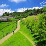 Cho thuê lâu dài 10.000m² đất tmdv tiền đường non nước, quận ngũ hành sơn, tp đà nẵng.