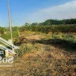 Nền đất ở 4x24,5m thổ cư 97m2 - đường nhựa 6m, view sông gần kcn cầu tràm, sổ hồng riêng