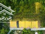 Bán lô đất ở 500m2 đường cây thông trong, sát trung tâm. đường trên sổ, mặt tiền rộng tách sổ đẹp.
