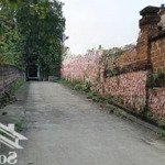 Bán nhanh lô đất 1120m trong đó 300 thổ cư phù hợp xây nhà vườn nghỉ dưỡng và phân lô