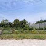 Cần bán gấp đất gần chợ đại ngãi mt đ. nam sông hậu ql91b đại ngãi long phú sóc trăng 120m2/550tr