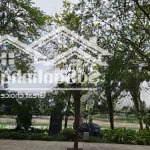 Bán lô đất đẹp mặt phố trịnh công sơn tây hồ tặng nhà view hồ sen cực hiếm nhà bán, 2mặt thoáng