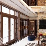 Cắt lỗ căn 56m, đối diện chung cư mas vừa mở bán tại vin 2, sát bệnh viện vinmec, đường 51m