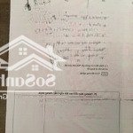 Bán đất dt 536.5m2 tại tôn thất tùng, p8, đà lạt, 26 tỷ, hàng hot
