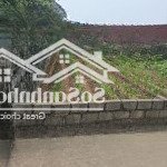 Bán đất tại liên nghĩa, 6,12 tỷ, 146m2, mặt tiền 7,8m, ngõ rộng 5,5m, hưng yên