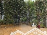 Bán đất tại thôn 7, xã phú cát, quốc oai, hà nội, 25 triệu / m2, 185.1 m2, đẹp, nhiều tiện ích