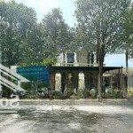 Cho thuê nhà mặt tiền nguyễn đức thuận, hiệp thành