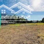 Bán gấp mtđ trần văn trà gần trường tiểu học nguyễn văn dinh long an, 120m2/900tr, shr