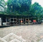 Cho thuê mặt bằng kinh doanh phố tô hiệu diện tích 250m2 mặt tiền 5.5m phù hợp như cafe, sân bia..
