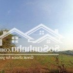 đất phước hiệp, củ chi có shr, 300m2 thổ cư, mặt tiền đường bê tông mới (có thể tách thửa)