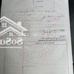 Bán lô đất biệt thự lô góc dt 219 m2 tđc đường dứa, lũng đông, hải an