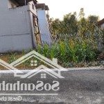 Lô đất vàng sát cnc hòa lạc 65,8m tân xã, giá đầu tư sinh lời ngay!