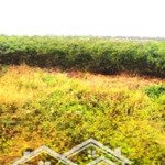Bán 1650m đất kiên lao, lục ngạn, bắc giang, gía đầu tư nhỉnh tỷ 098218815