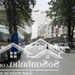 Bán nhà mp trần văn lai-mỹ đình dt 201m2 x 5 t x mt 13m x giá nhỉnh 100 tỷ. dòng tiền 250 tr/th