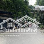 Giá tốt đầu tư lô đất an thượng 21, 79m2 ngang 4,5m, đường 5m5 khu phố tây sầm uất