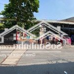 Bán khẩn cấp, lô đất 128,5m2, đường nhựa, ngay chợ đoàn thị kia, p. tân đông hiệp, giá chỉ 3,6ty