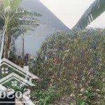 Cơ hội đầu tư sinh lời cao.86m thôn đông lai-quang tiến -sóc sơn