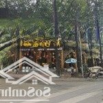 Siêu phẩm mb phố ô chợ dừa 500m 2 mặt tiền 11m chỉ 200tr sang nhượng nhà hàng lẩu nướng bbq full đồ