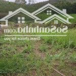 Bán đất thổ cư lâu dài gần khu công nghiệp & đường hồ chí minh thạch quảng, thạch thành