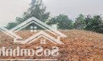 Hàng ngon bổ rẻ nhất huyện lương sơn, hòa bình, giá cực chất 1 triệu / m2, 4000 m2