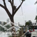 Phố tây - 4 mặt thoáng - cư dân tỉ phú - hoa hậu khuất bên hồ hàng hiếm, đặc biệt, giá tốt đầu tư