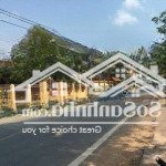 Ra gấp mảnh nhơn trạch, đồng nai 1.65 tỷ thương lượng