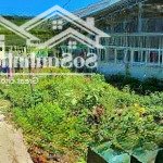[ đất thị trấn diên khánh _ 680 triệu ] * cách tttp nha trang : 11km * hẻm 2m ( xe máy )