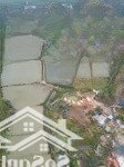 Bán lô đất rộng tại phù long cát bà, sổ 790 m, thực tế hơn 1000 m, phù hợp nghỉ dưỡng, homestay