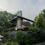 Bán biệt thự góc phú mỹ hưng, 99 tỷ, 300m2, thiết kế hiện đại, tiện ích đầy đủ, có thang máy