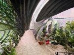Nhà vườn siêu đẹp - mặt tiền hoà trung, giá: 4 tỷ
