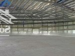 Xưởng 9.500m2 kcn phú mỹ, vũng tàu cho thuê giá 3,5usd/m2