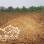 Bán đất đường rộng 10m khu dân cư điện nước đầy đủ ngay p. hắc dịch tp. phú mỹ, 5x30 tc 60m2 950tr