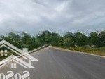 Giá sập hầm nhà đầu tư ơi! chính chủ bán đất biển đường 5m5 gần nguyễn thức đường - 30tr/m2 - 125m2