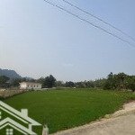 Bán đất dt 420m2 tại đt 12b, sào báy, kim bôi, hòa bình, giá siêu hời 1,1 tỷ