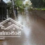 Siêu đẹp nở hậu ô tô ngủ trong đất gần đường nguyễn viết thứ , vành đai 4 .