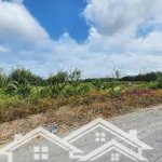 Bán đất mặt tiền đường bờ bao rạch bà lào. xã phong phú. huyên bình chánh