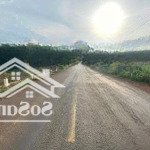 Tổng 5.6ha điều, minh tâm, mặt tiền dt752