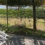 đất có 200 m2 thổ cư,đường xe 16 chỗ,trước mặt có sông lớn mát mẻ,khu dân cư, an ninh