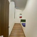 Cho thuê cc 1pn, 1wc tại q7 saigon riverside, 8 triệu, 54m2