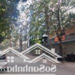 Hiếm có lô đất full thổ cư 656m mt 18m vị trí đắc địa trung tâm cầu giấy, đầu tư dòng tiền đỉnh.