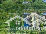 Chính chủ cần chuyển nhượng 2590m2 có 400m2 thổ cư, mặt tiền 50m, địa chỉ đất tại đá bạc liên sơn