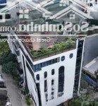 Toà nhà văn phòng lô góc 3 mặt tiền 200m2, 8 tầng giá hơn 145 tỷ