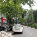 Siêu hiếm, bán biệt thự xa la 160m2x4t, kinh doanh, ở sướng, gần đường đôi giá nhỉnh 30 tỷ