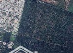 9000m2 đất nn thị trấn nhà bè , tiếp giáp đường 15b giá đầu tư 2tr/m2 . lh 0902 84 3539
