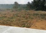 Bán gấp đất nghỉ dưỡng view cao, vị trí đắc địa, tiềm năng sinh lời cao, phù hợp xây homestay