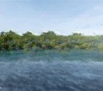 Bán cung mây vilas dốc sổ yên bài dt 5000m x 3t x mt 100m giá 22 tỷ có thương lượng