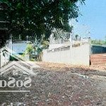 Bán đất diện tích khủng 533m2 - hxh 6m huỳnh văn nghệ, p15, tân bình - giá chỉ 27tỷ990 thương lượng